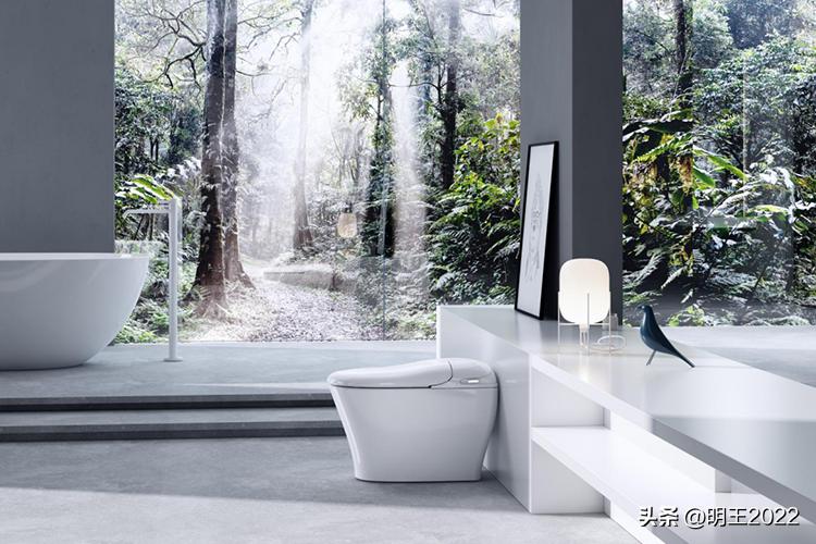 台州最大的智能马桶厂,台州西马智能马桶有限公司