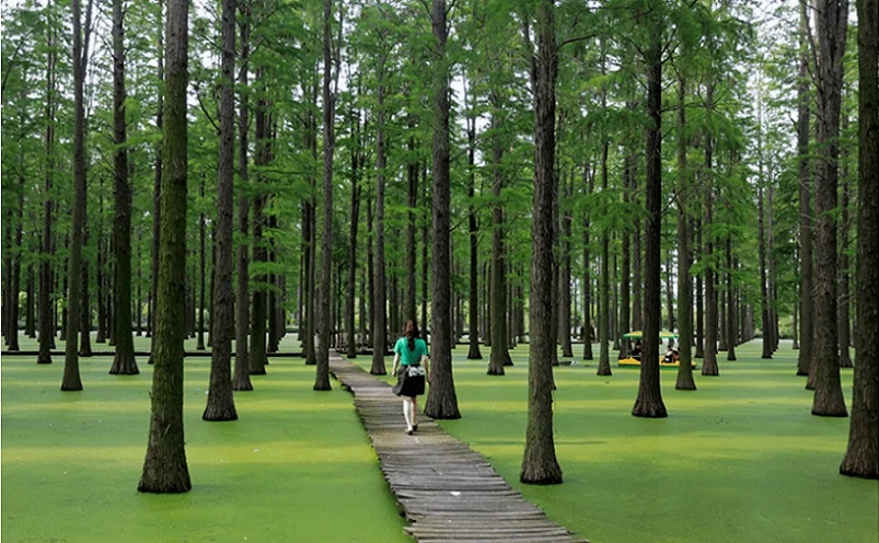 扬州旅游必去十大景点排名榜,扬州冷门小众景点