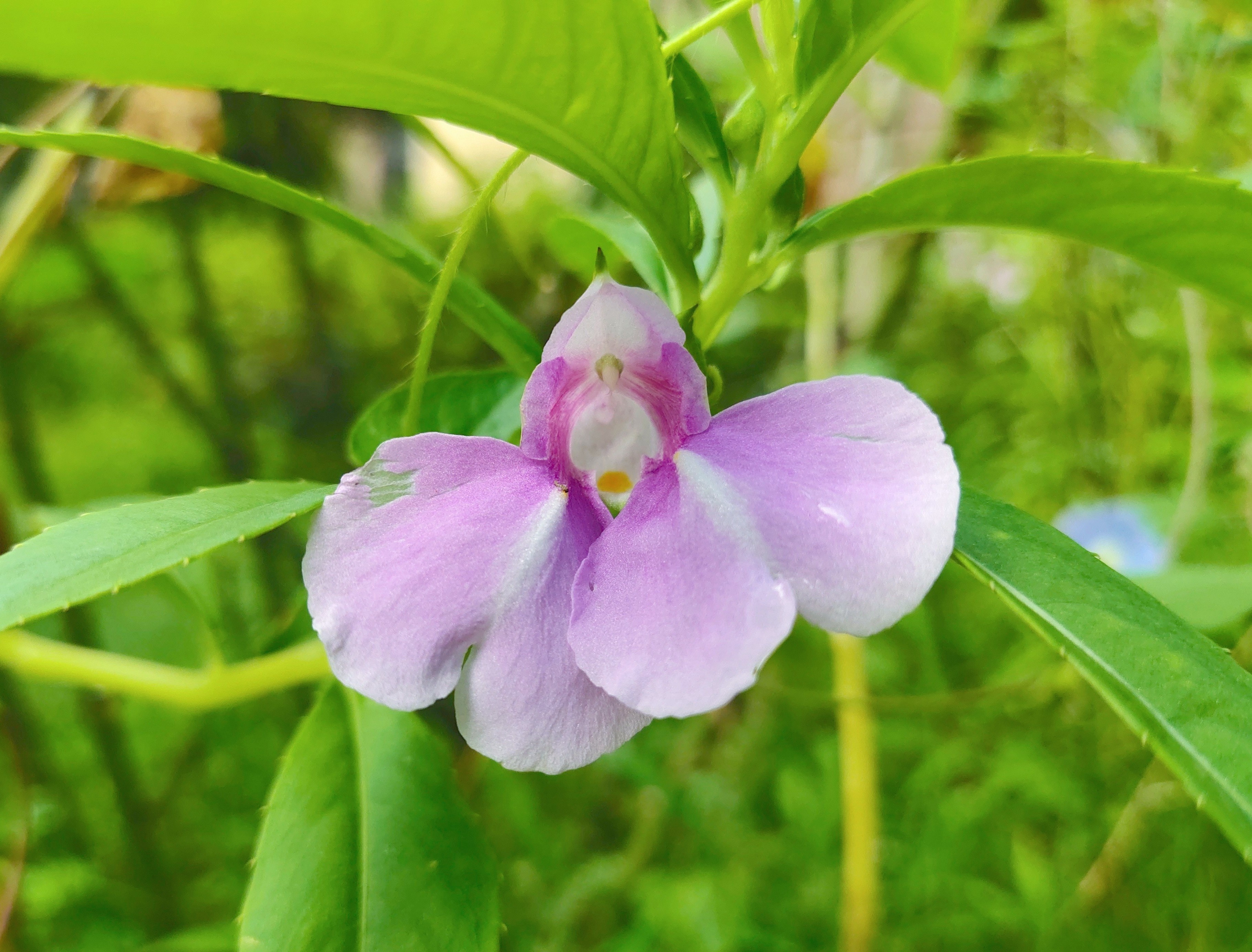 相亲见面两次可以发展到什么地步,同一个相亲对象介绍两次