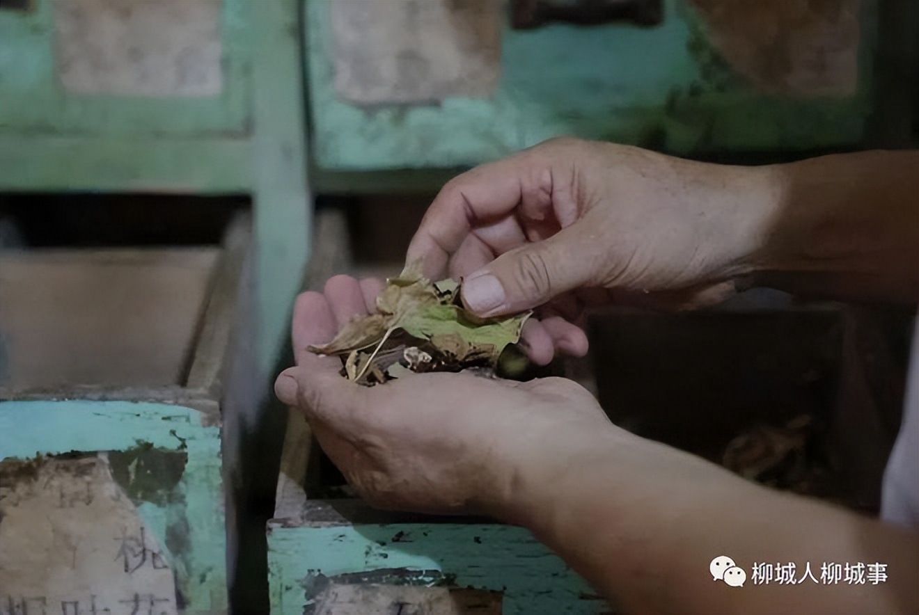 初瑞雪帮助残疾人创业,初瑞雪谈健康