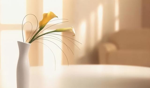 一个人越活越“聚财”，靠的不是情商、智商，是这几种远见