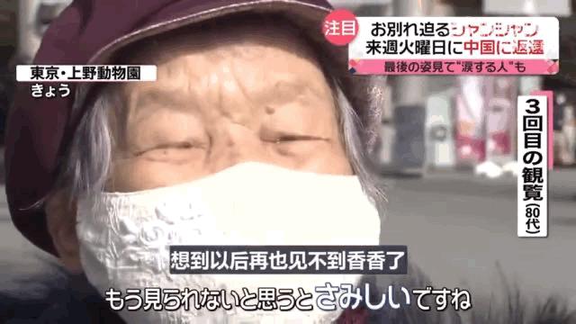 大熊猫香香回国日本民众哭着告别,大熊猫香香回国日本民众哭了