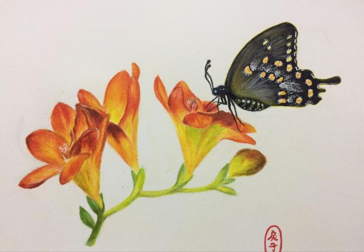 自学画画多久能画人像,自学画画最快几个月能工作