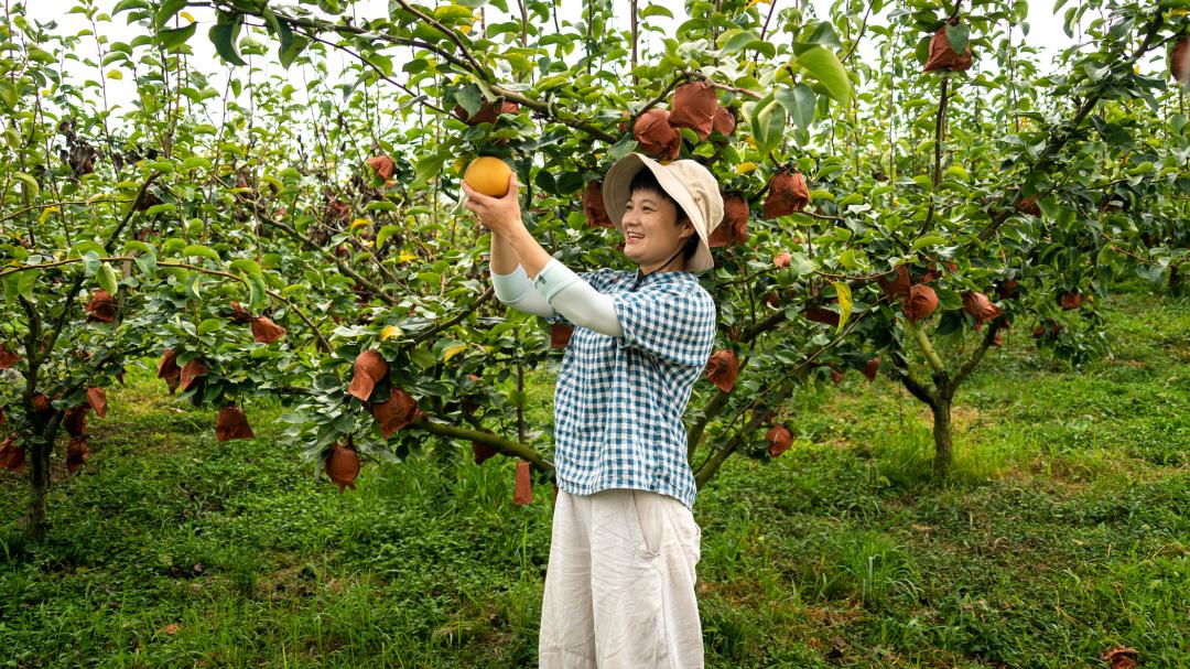 千万粉丝直播带货挣多少,农村创业直播卖农产品