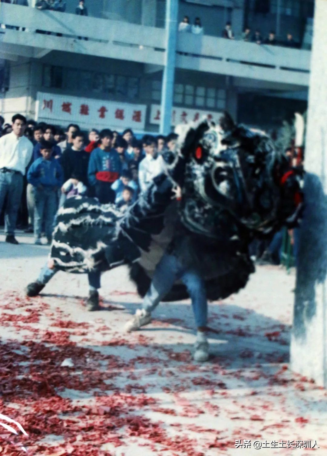 瑞狮和醒狮有什么区别,醒狮和瑞狮有区别吗