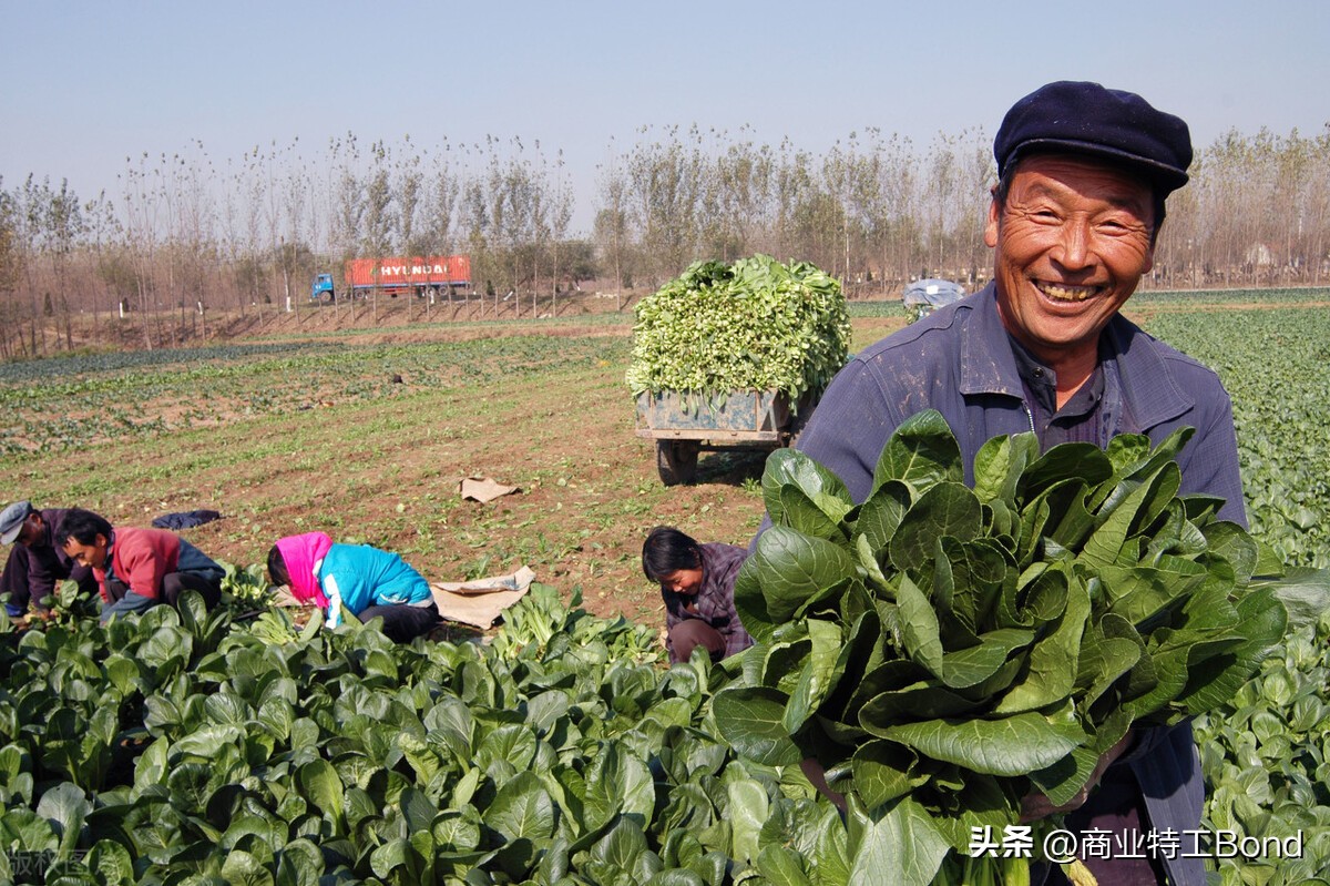 浅谈民宿经济的困境及如何破解,三四线民宿经营思路及方法