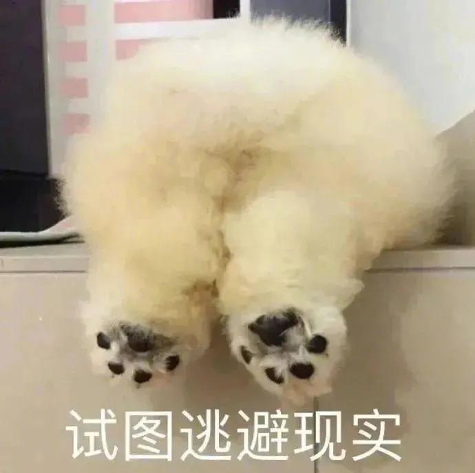 被伤过的心就是玻璃碎片表情包,表情包被爱心击中