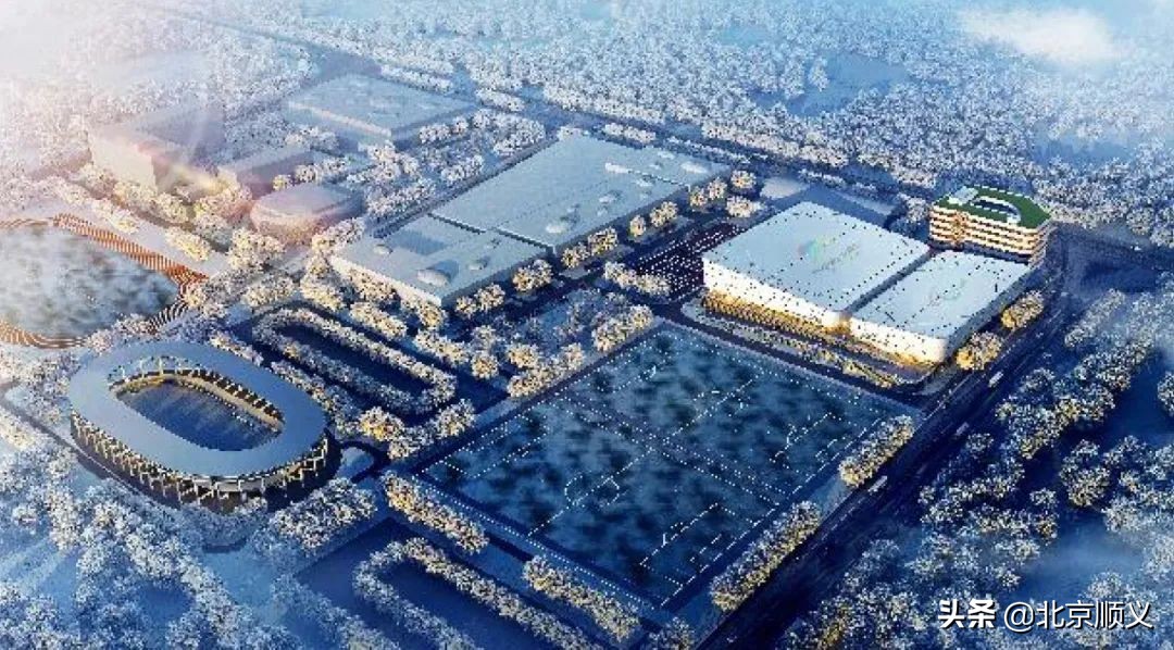 北京冬残奥会点燃主火炬特写,北京2022年冬残奥会火炬开始传递