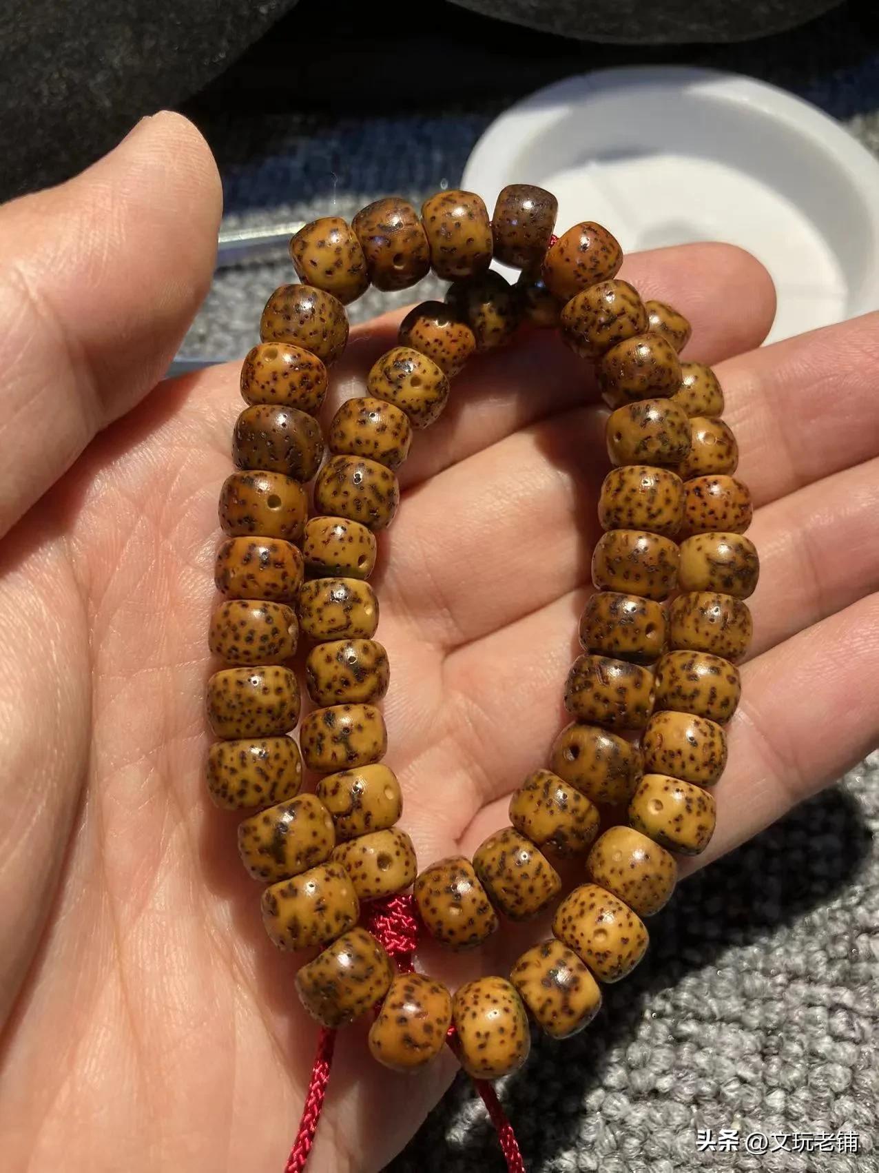 原生态星月菩提和脱脂星月的区别,微脱脂星月菩提和脱脂星月菩提