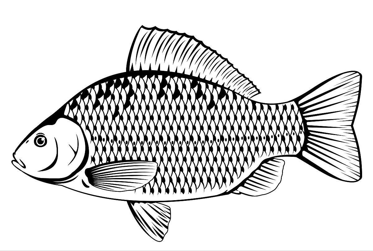 民间笑话中篇故事,笑话故事大全民间传说