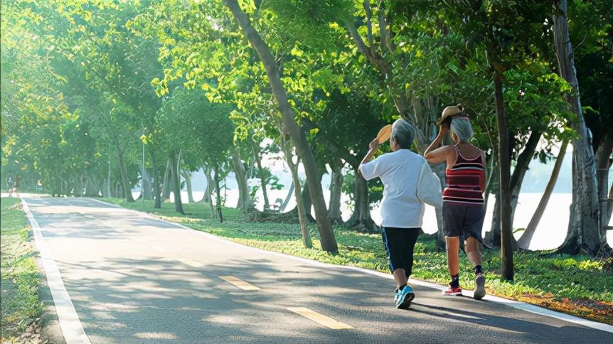 专治老年人下肢无力的方法,老年人下肢无力吃什么药