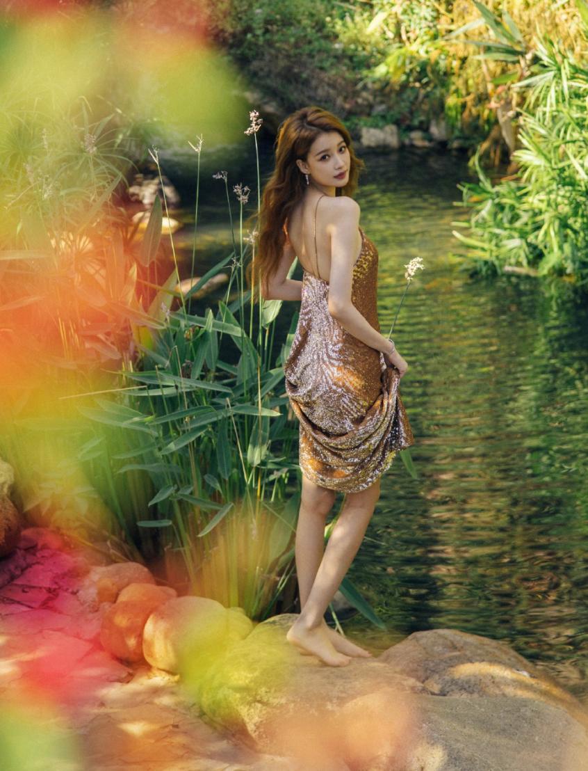 明星离婚20多次,2019明星们离婚