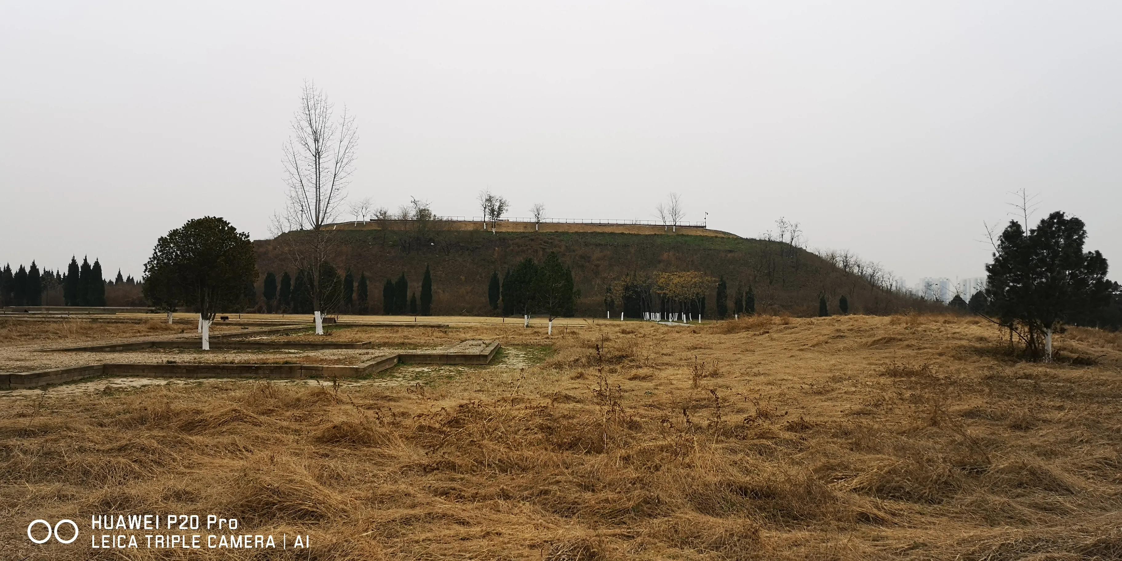 西安未央宫国家遗址公园门票,西安未央区哪里好玩不收门票