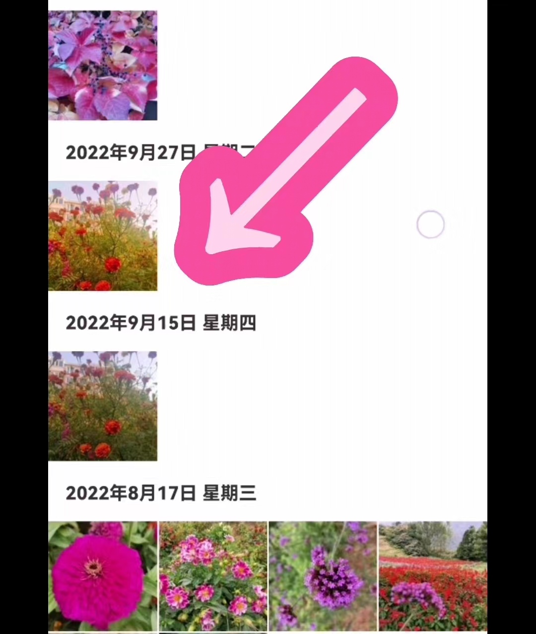 如何查看分秒帧网盘容量,怎么查看网盘