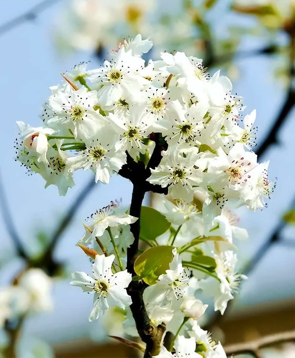 描写水面如镜的诗句,形容水清的优美诗句