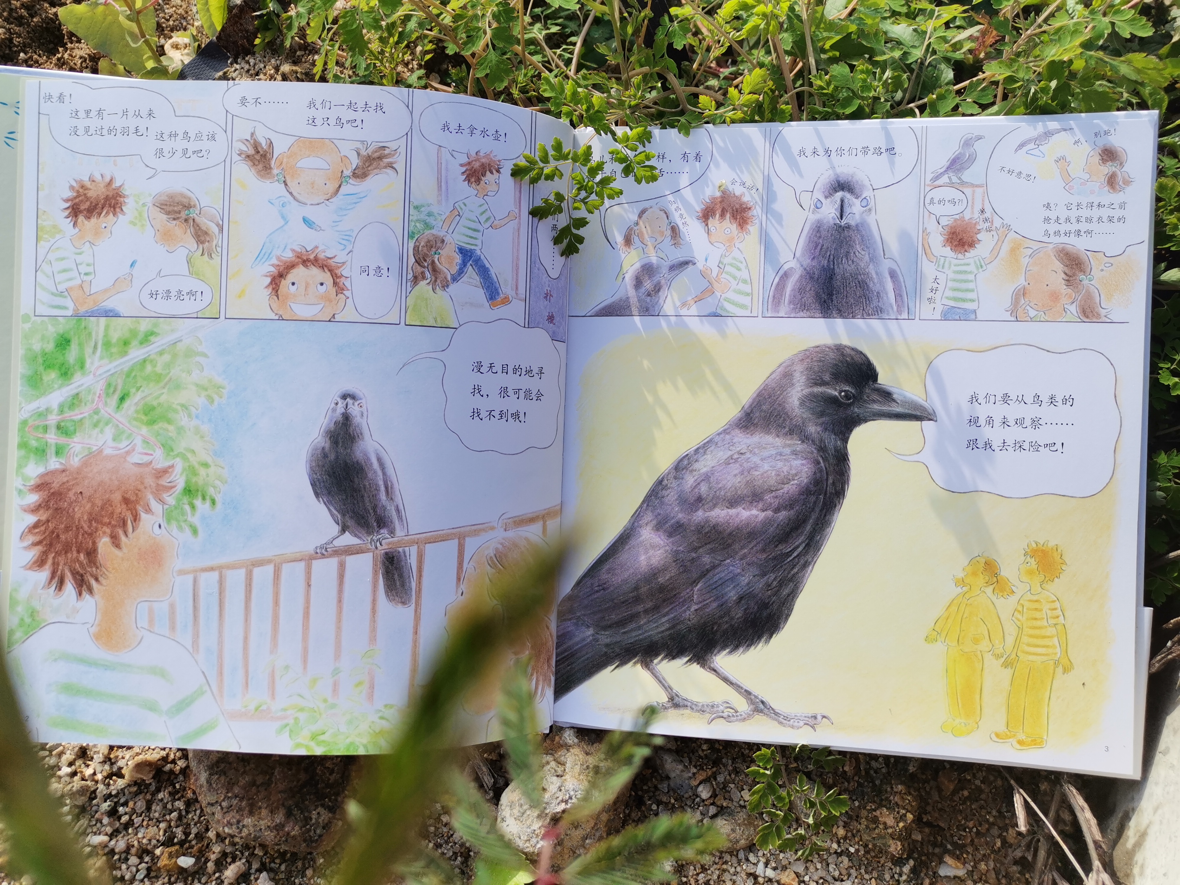 青色的羽毛黄肚皮的鸟,青色的羽毛