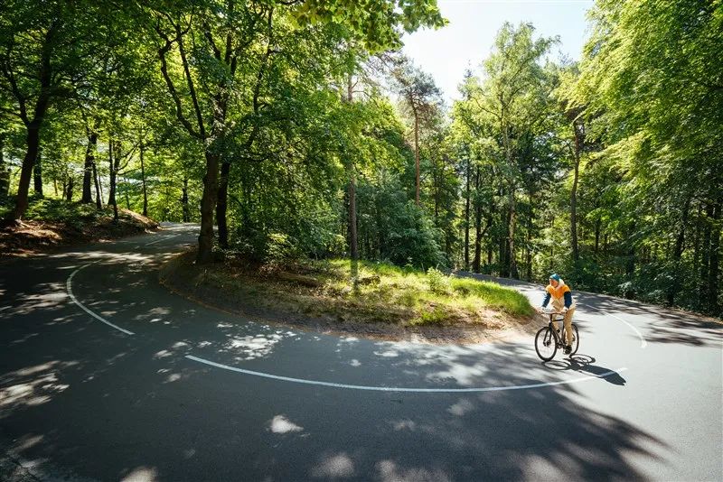 骑马旅游荷兰攻略视频教程,游荷兰需要什么手续