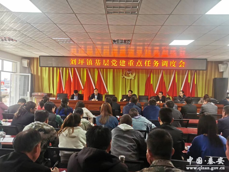 张金镇基层党建重点工作,滩坪镇党建工作专题会议