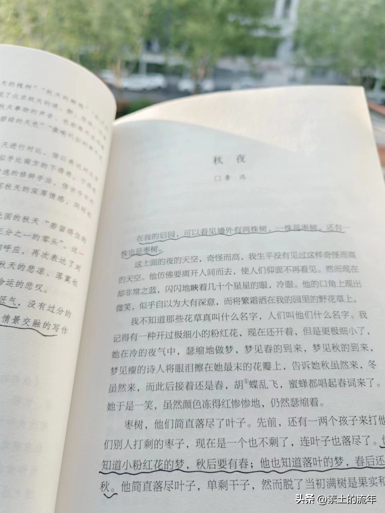 学写作入门的八种技巧讲座,写作小白入门技巧