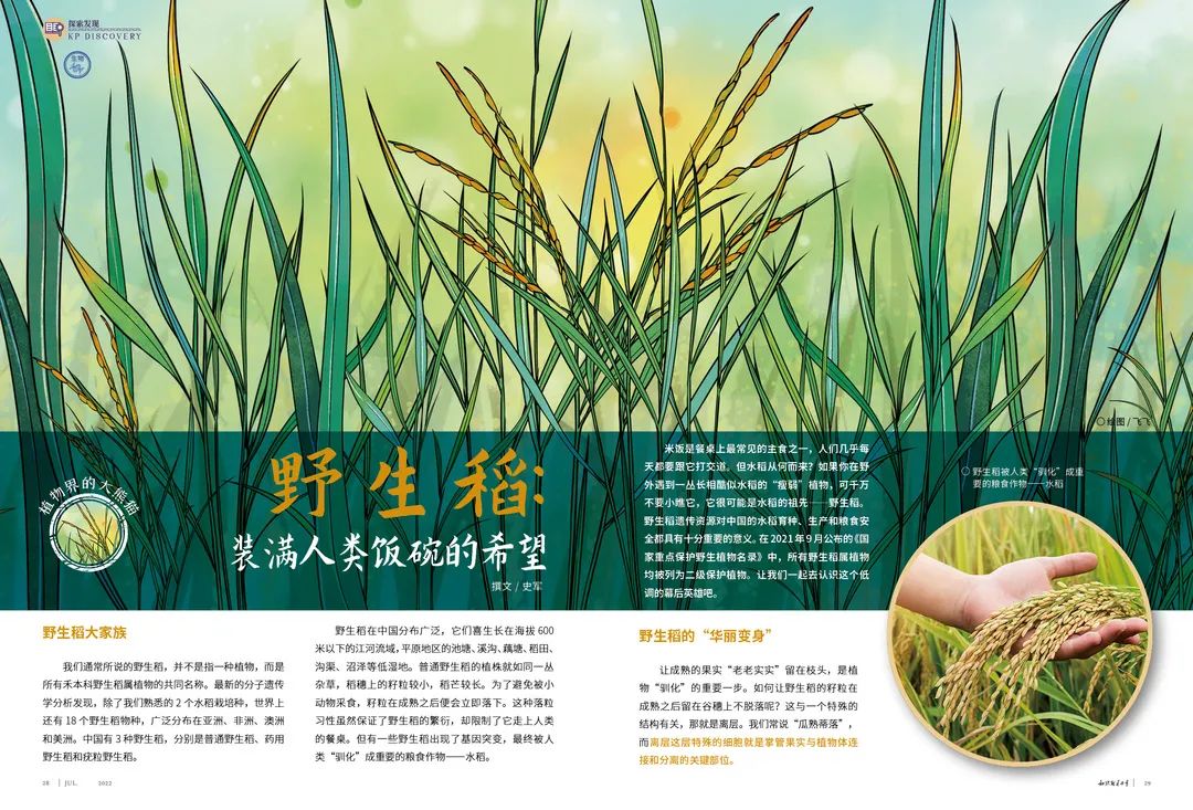 关于生物新课标的难点,新课标生物知识点总结详细