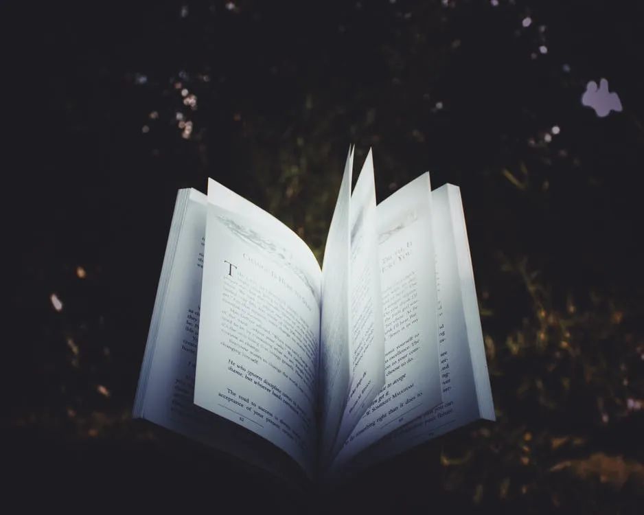 荐书《爱与岁月：精神分析视角下的爱情》