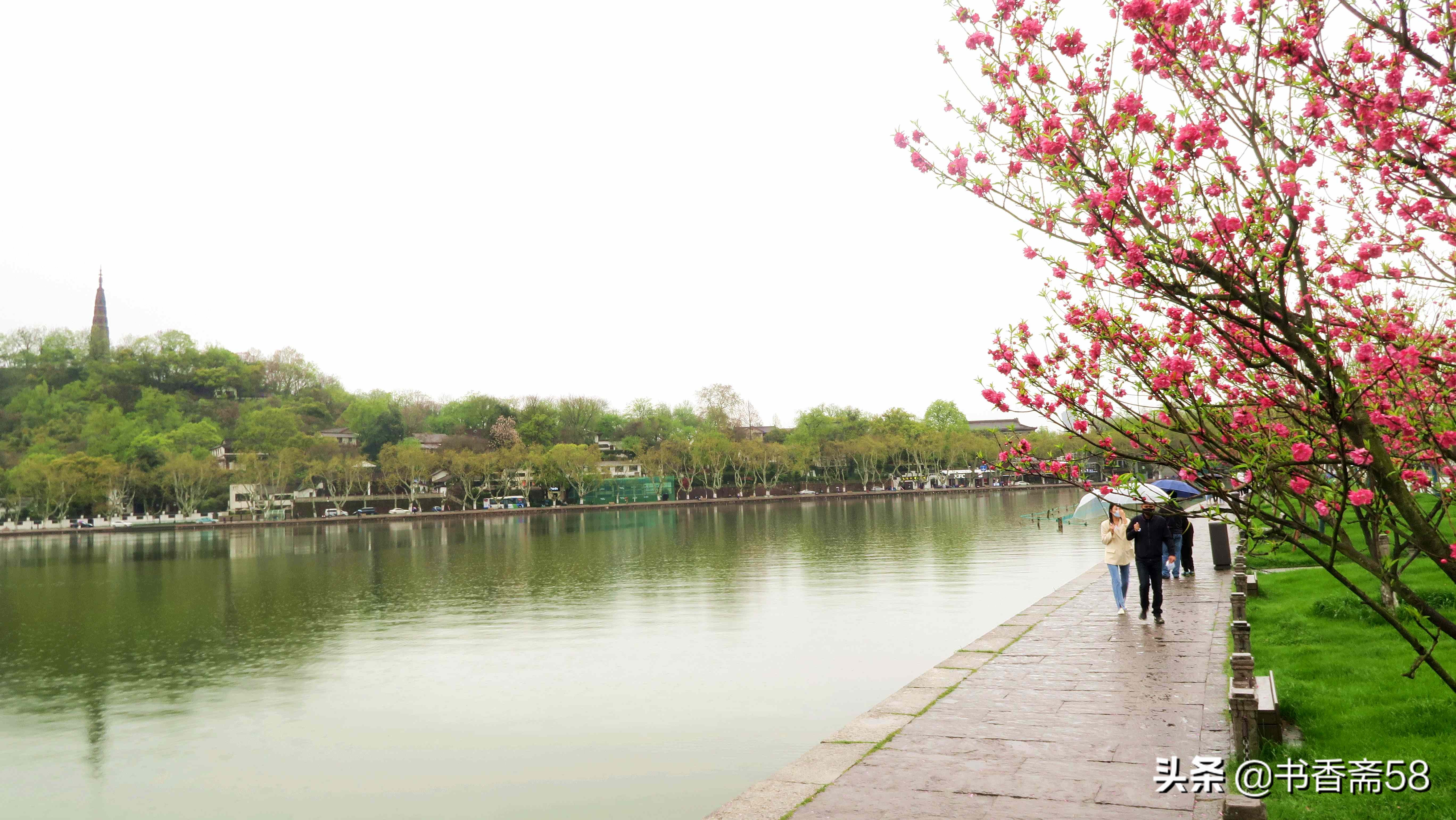 游玩西湖最佳线路攻略,西湖游览公交车路线