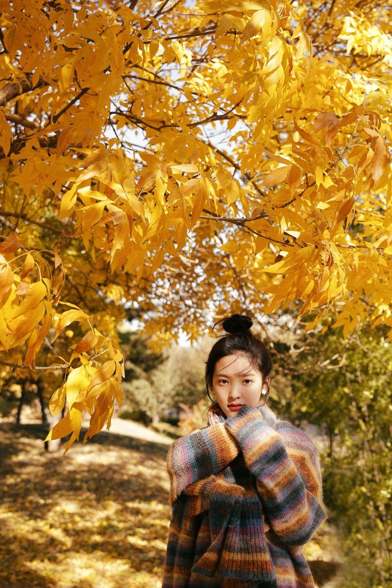 娱乐圈的白月光们有哪些共同点,娱乐圈白月光有哪些