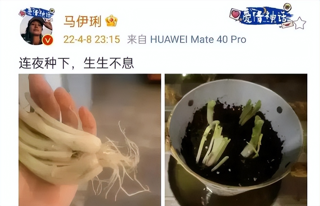 我在上海送外卖段子,上海送快递一年赚多少钱