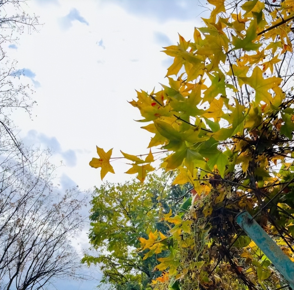 固特异山道巡礼,固特异大连发现之旅