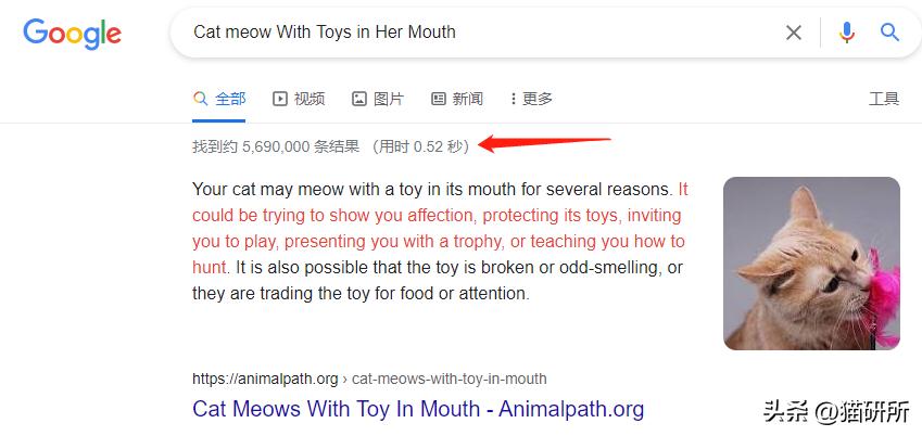 猫咪为啥叼着玩具嚎叫?谷歌569万搜索解密...