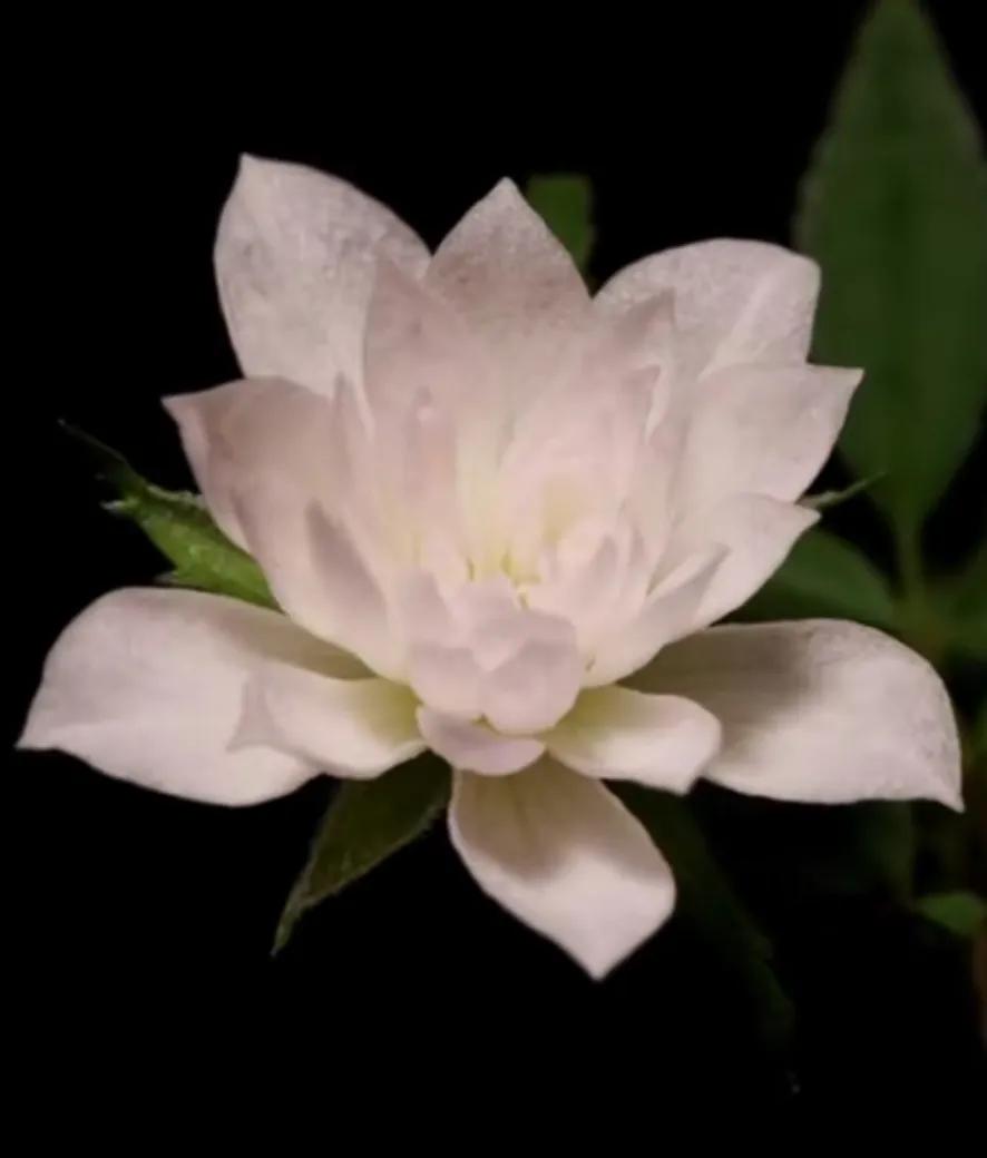 能快速赚到一百万的职业,做什么能快速的赚到一百万