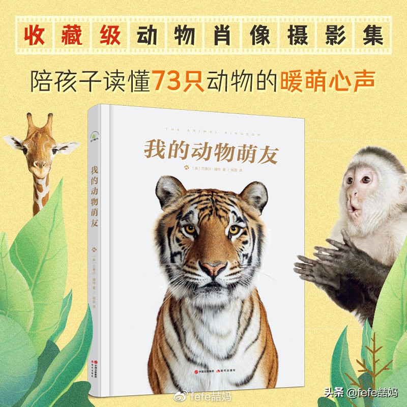 关于小动物的书推荐,好书推荐动物书单