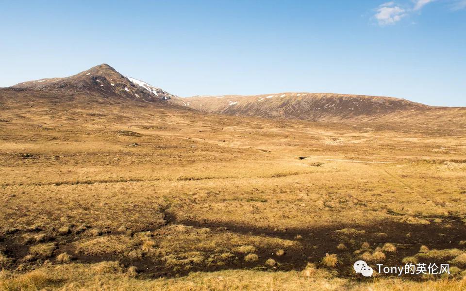 不用外出也可以欣赏草原美景,英国的惬意风景
