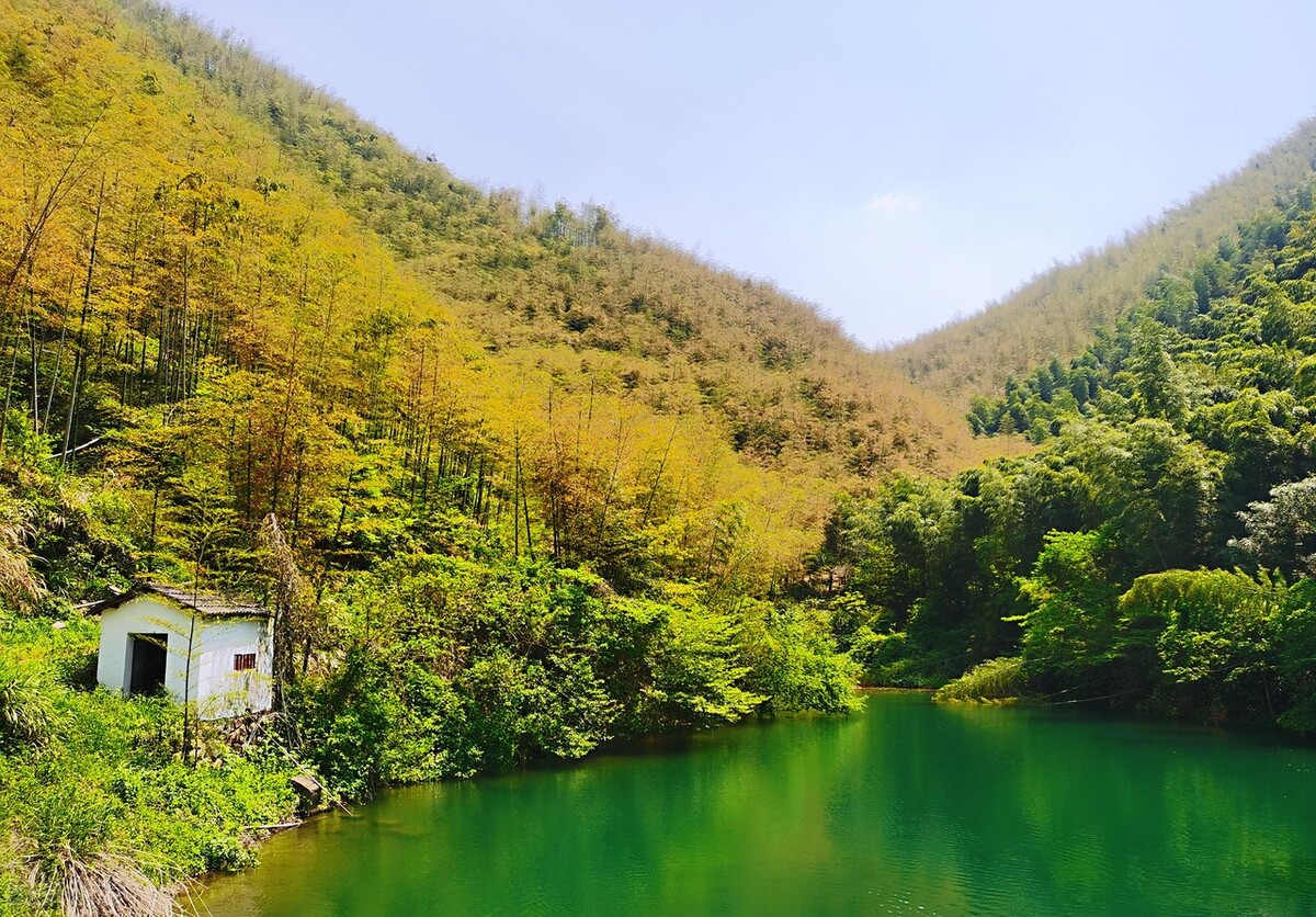 极富盛名的日本茶道源于哪里,日本茶道起源于径山
