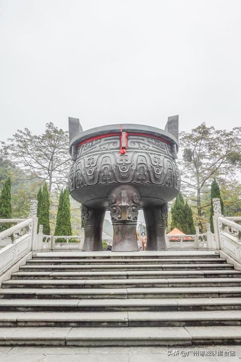 来绿林润肺放肆“森”呼吸，体验全新肇庆喜来登酒