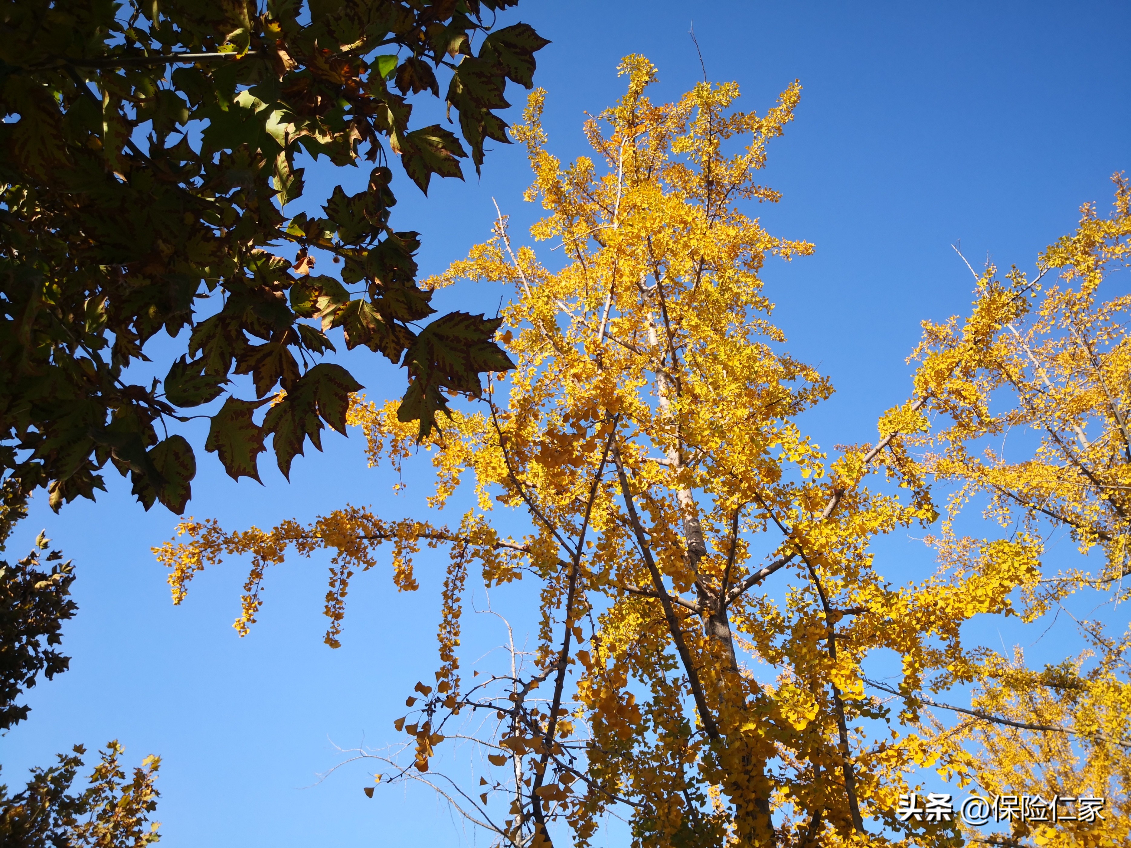被人删除微信好友是什么感受,被人删除微信好友的感受