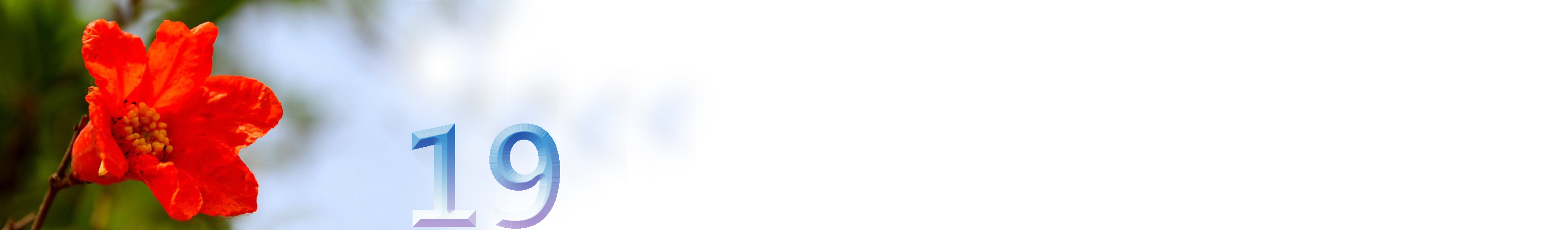 五月石榴花开的唯美诗句,关于石榴花的美文和诗句