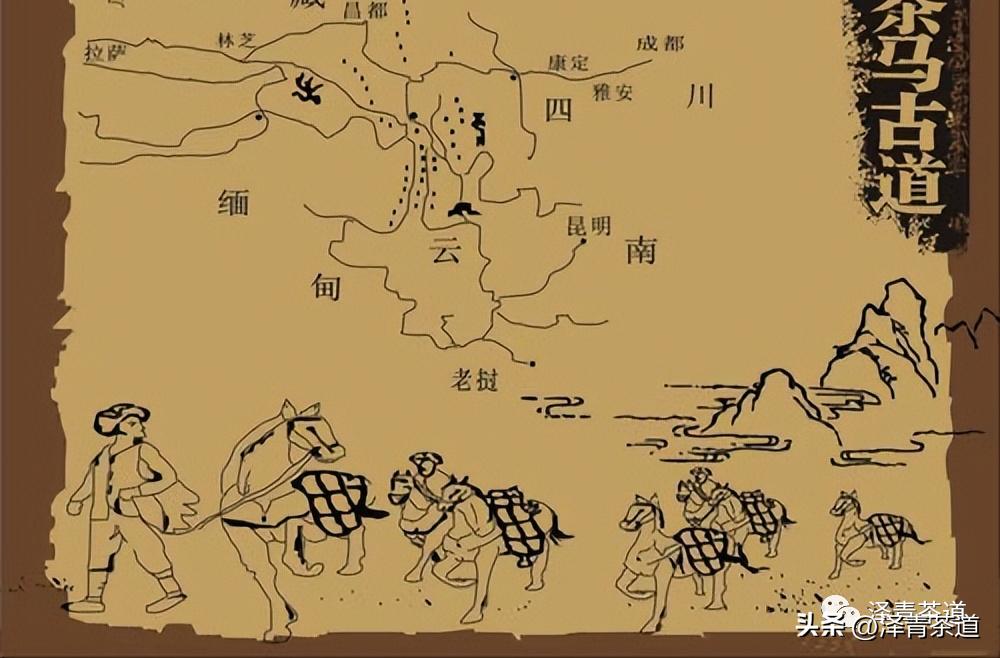 茶马古道茶叶铁盒价格,茶叶溯源之旅