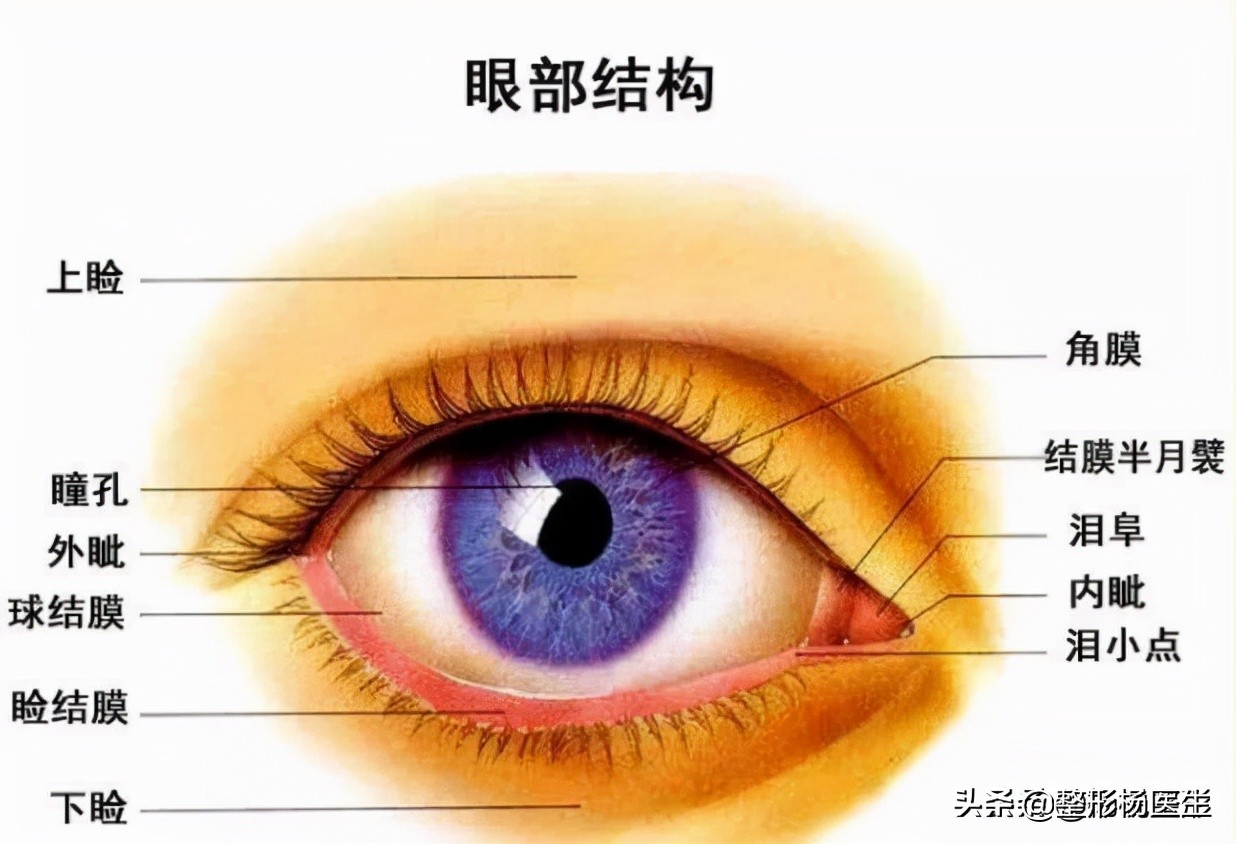 割双眼皮一定好看吗,割双眼皮真的好看吗