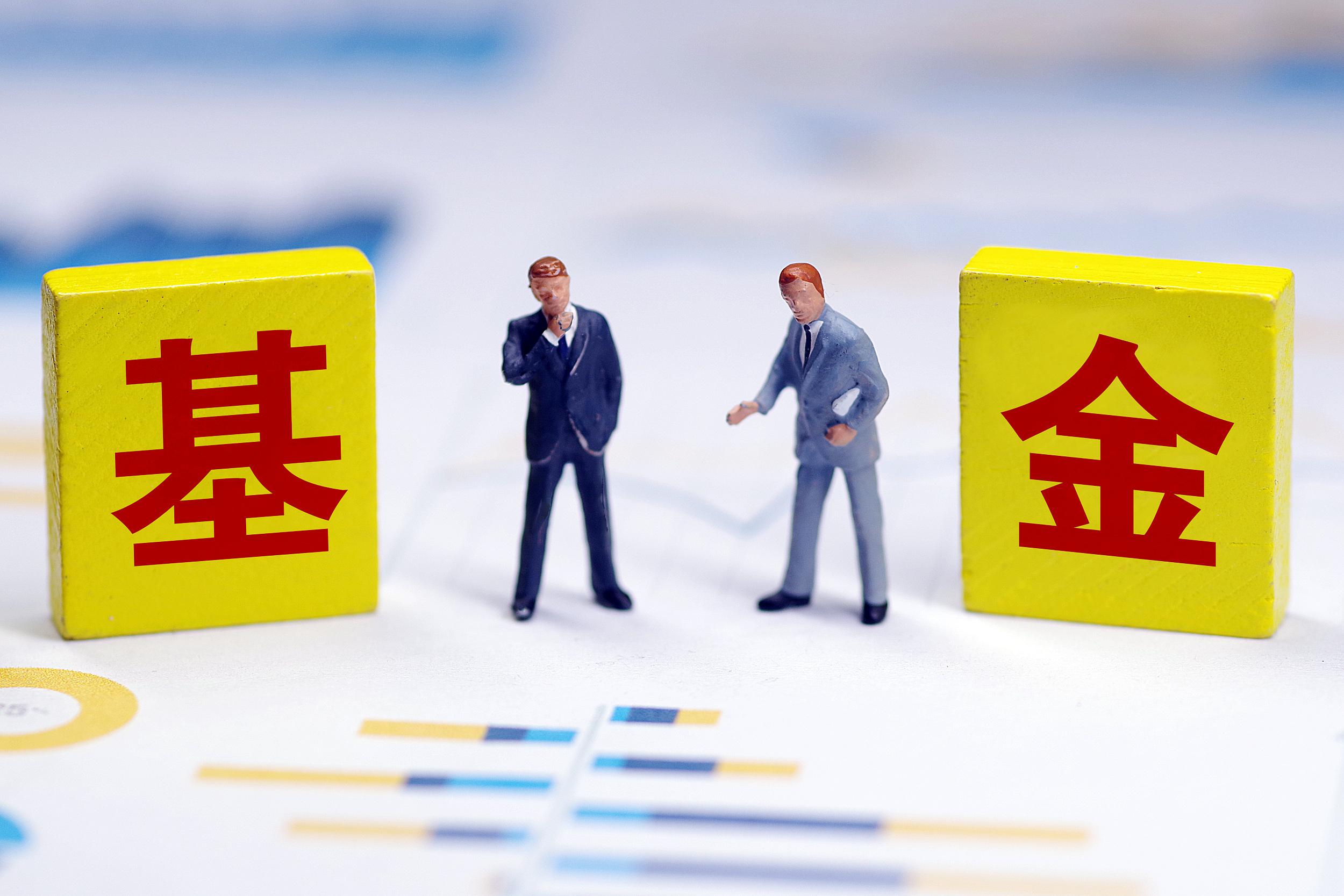 010196基金适不适合长期持有,如何选择长期收益的基金