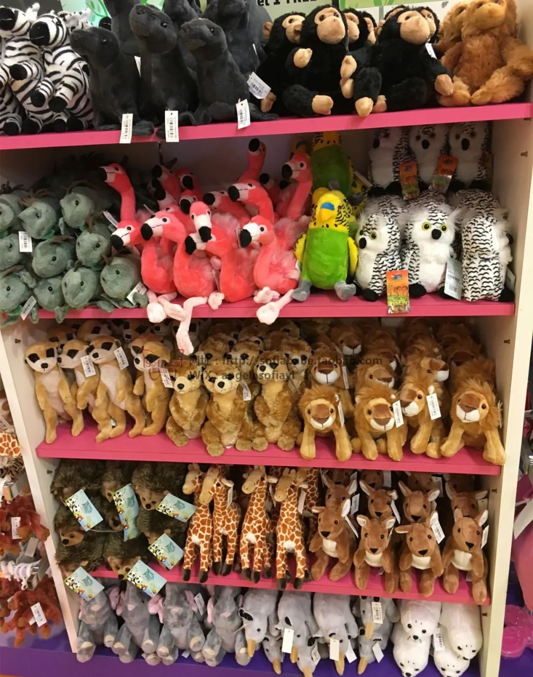 新加坡的特产推荐,新加坡十大特产水果