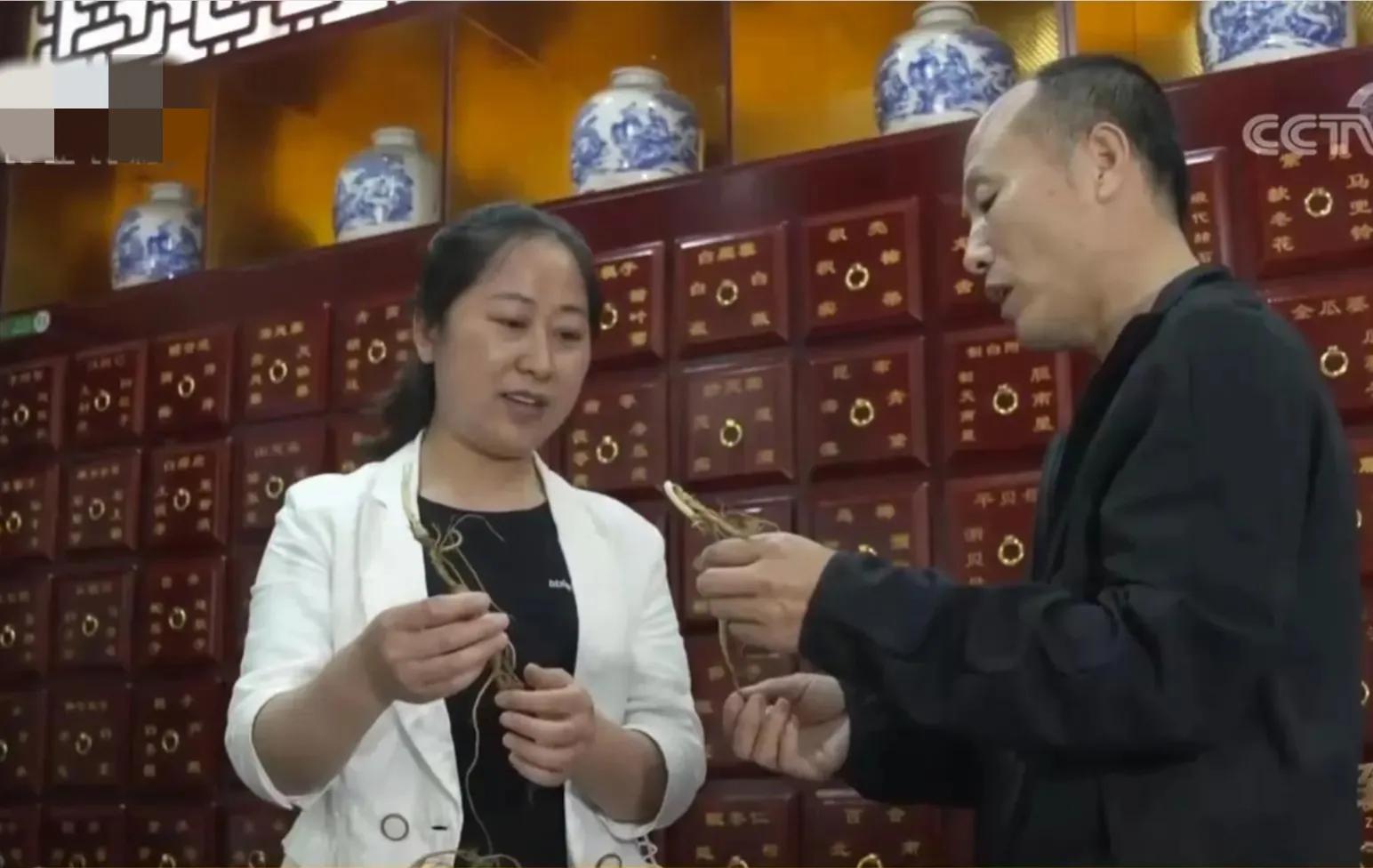 山地果园种林下参合法吗,山林地出租种林下参多少钱一亩