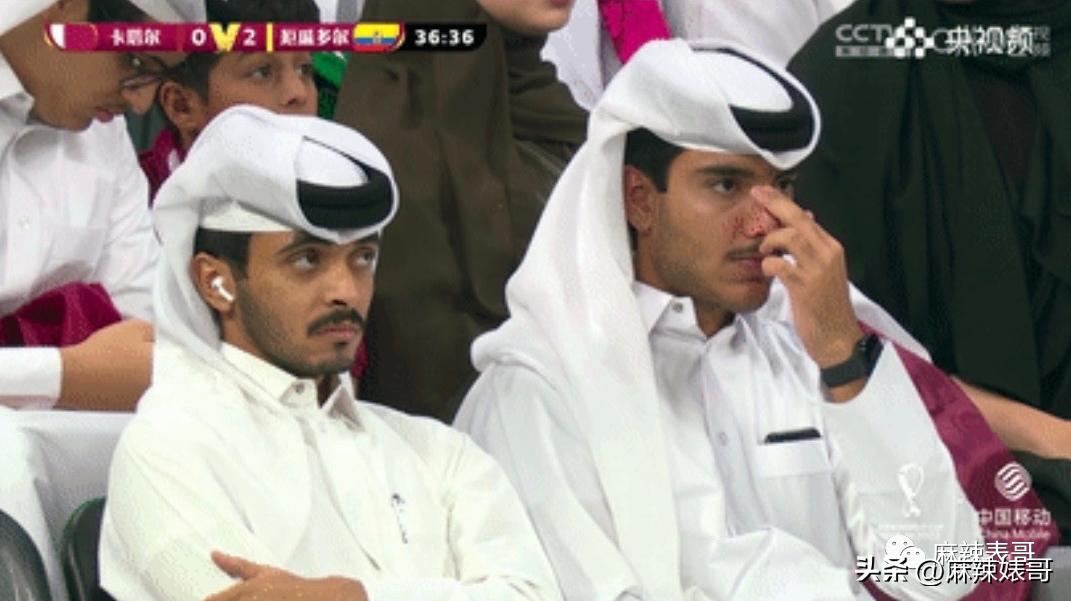 金晨模仿卡塔尔小王子晒照,金晨模仿卡塔尔王子被起诉了吗