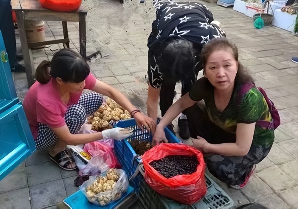 长兴元上农家乐三日游价格,2017年长兴农家乐三日游价格