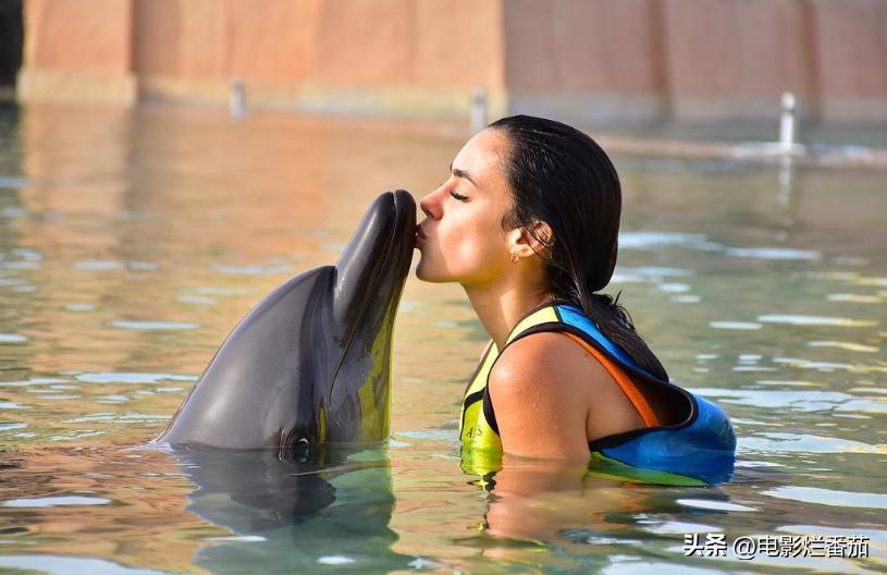 世界杯球星女朋友和太太团,世界杯美女太太团