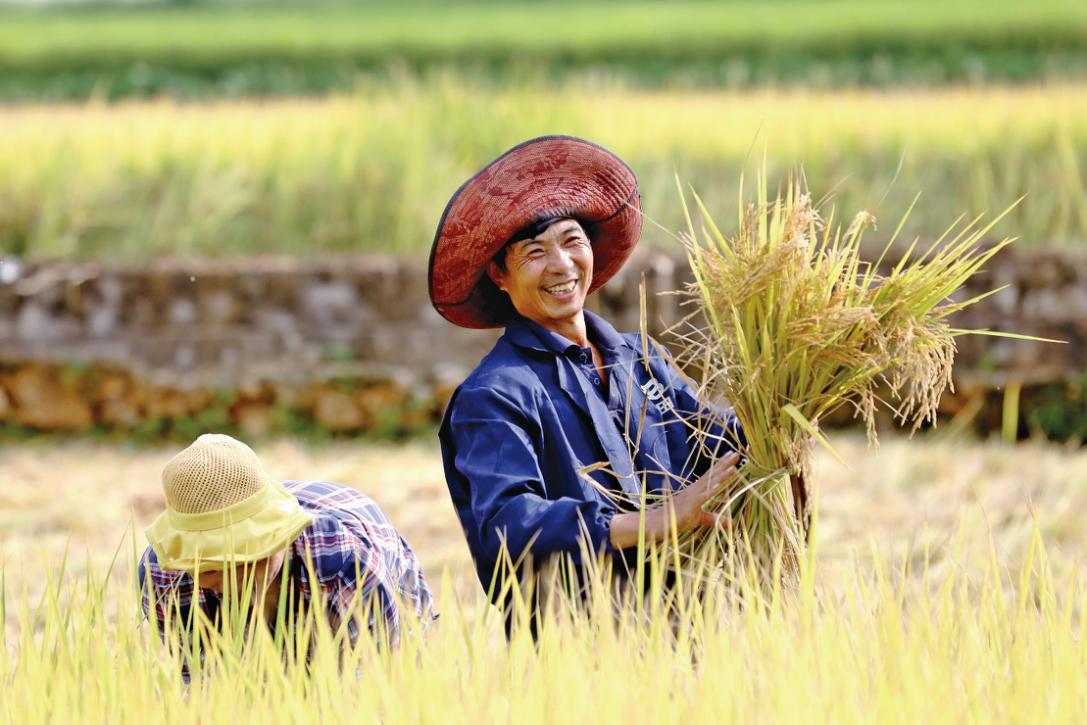 拼多多前三季度研发投入,拼多多扶持制造业