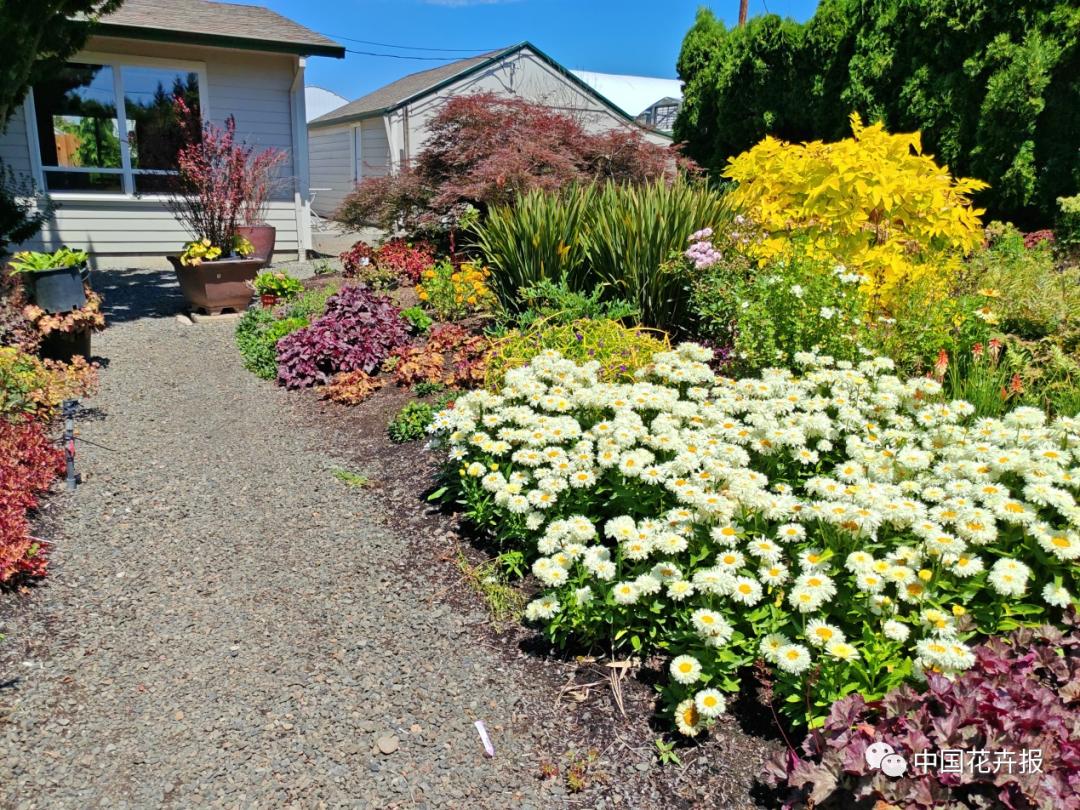 宿根花卉栽培,宿根花卉的栽培管理
