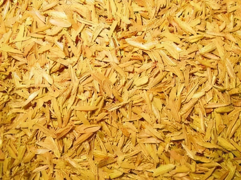 新手养兰花最好用什么植料,养兰花该用什么植料手把手教你