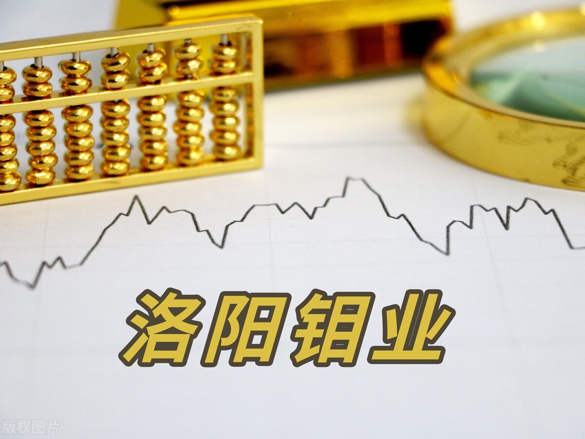 稀缺资源股龙头股一览,稀缺资源龙头企业