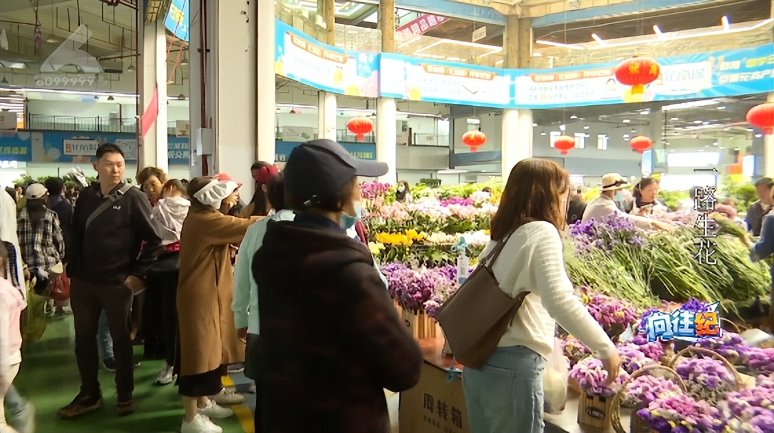 盘点人们都向往的工作,向往的工作和现实的工作